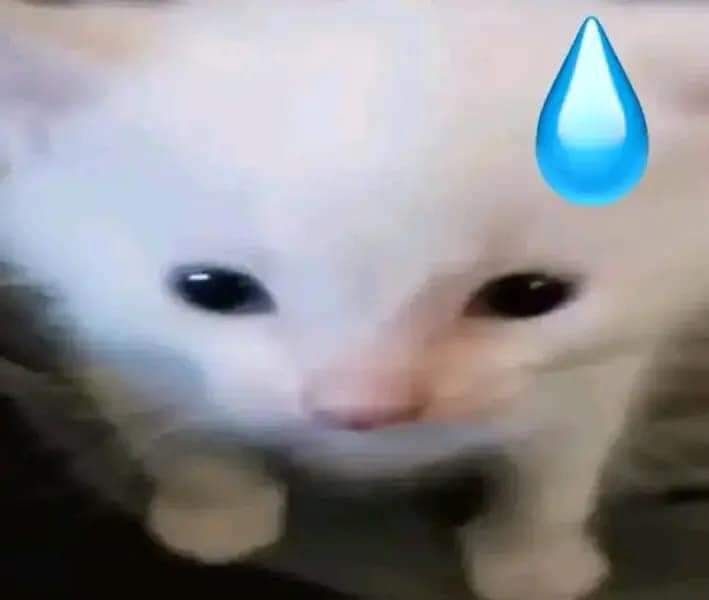 EDR